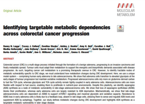Molecular Metabolism, 26 September 2024