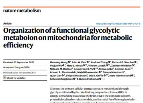 Nature Metabolism, 11 September 2024