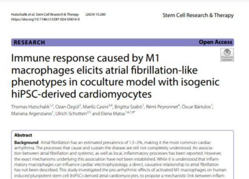 Stem Cell Research & Therapy, 04 September 2024