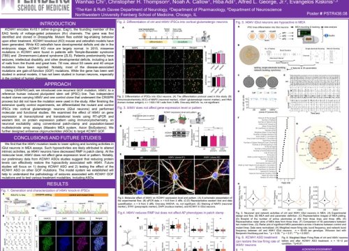 Wanhao Chi, Northwestern University