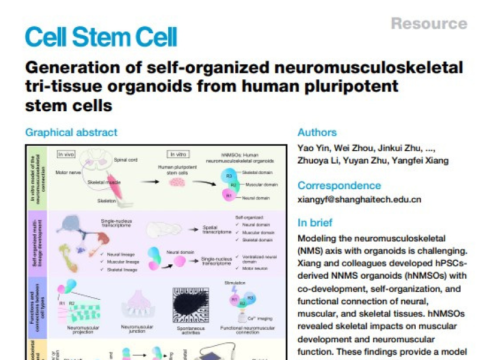 Cell Stem Cell, 09 December 2024