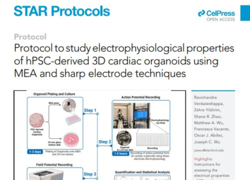 STAR Protocols, 7 November 2024