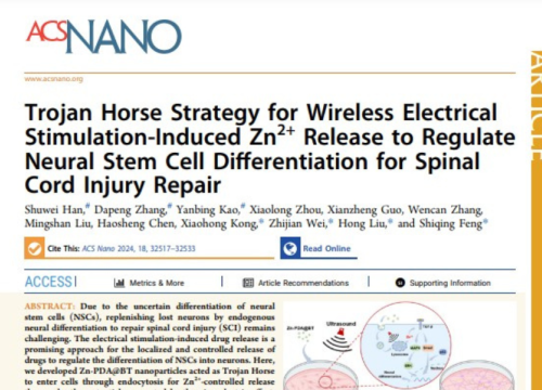 ACS Nano, 11 November 2024