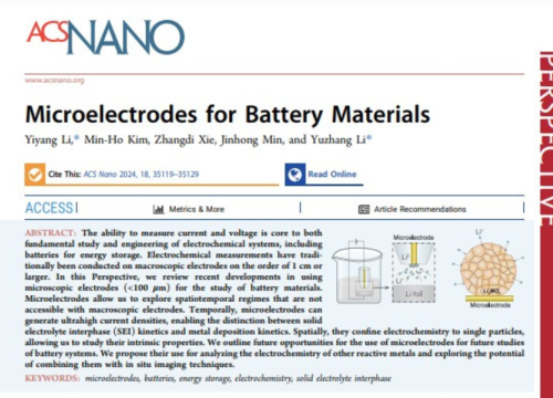 ACS Nano, 17 December 2024
