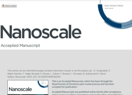 Nanoscale, 24 December 2024