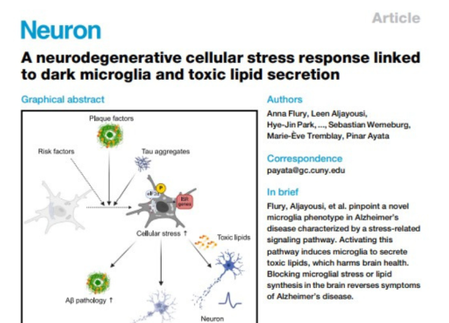 Neuron, 23 December 2024