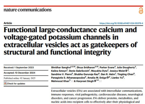 Nature Communications, 02 January 2025