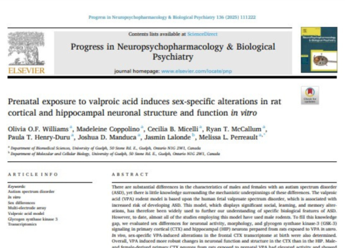 Progress in Neuro-Psychopharmacology and Biological Psychiatry, 17 December 2024