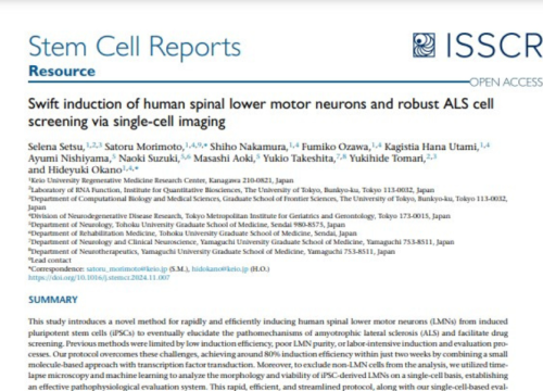 Stem Cell Reports, 14 January 2025