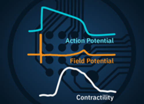 Cardiac Characterization Application