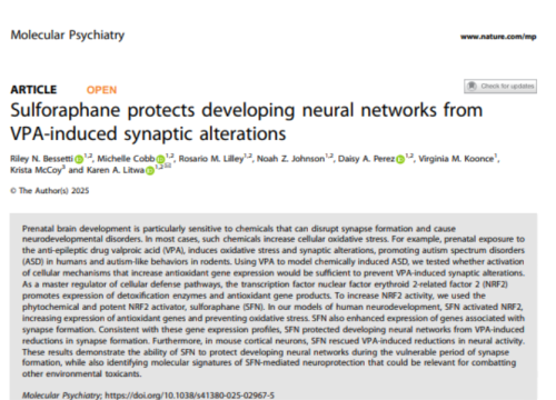 Molecular Psychiatry, 02 April 2025