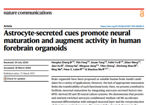 Nature Communications, 23 March 2025
