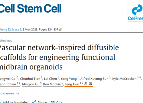 Cell Stem Cell, 17 March 2025