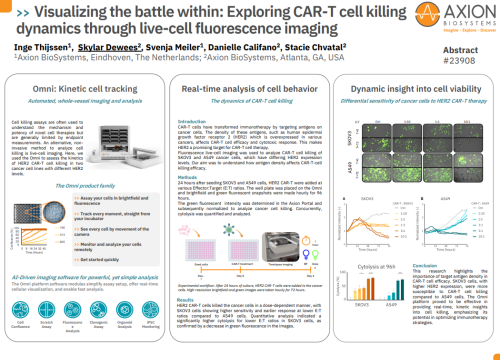Exploring CAR-T cell killing dynamics through live-cell fluorescence imaging