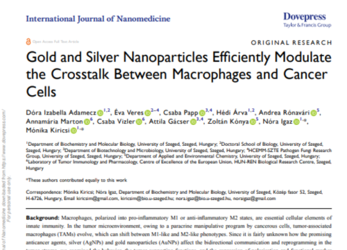 International Journal of Nanomedicine, 15 April 2025