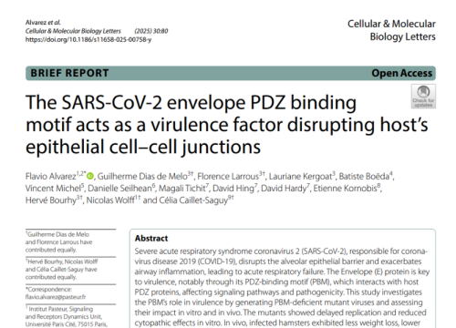 Cellular & Molecular Biology Letters, 11 July 2025