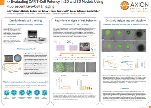 Evaluating CAR T-Cell Potency in 2D and 3D Models Using Fluorescent Live-Cell Imaging