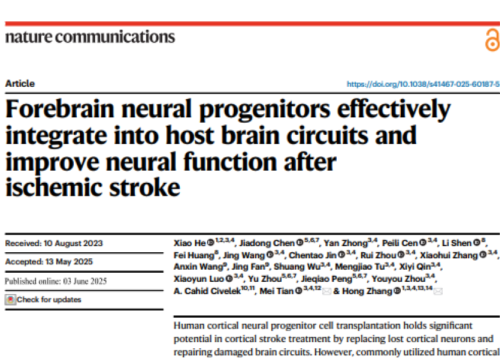 Nature Communications, 03 June 2025