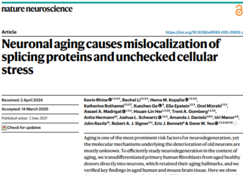 Nature Neuroscience, 02 June 2025