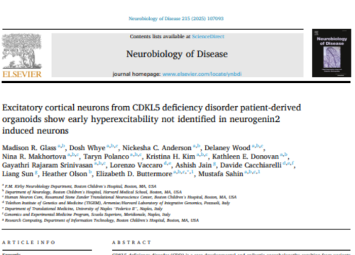 Neurobiology of Disease, 8 September 2025