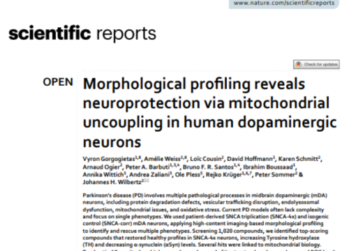 Scientific Reports, 12 August 2025