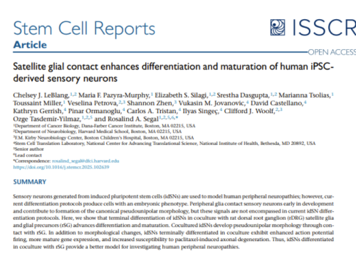 Stem Cell Reports, 14 October 2025