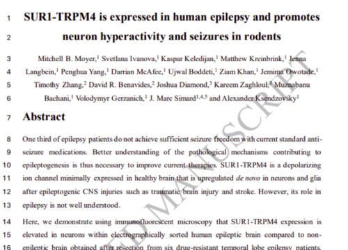 Brain, 15 November 2025