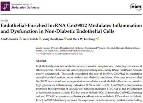 International Journal of Molecular Sciences, 21 August 2025