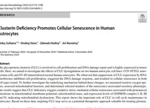 Molecular Neurobiology, 03 December 2024