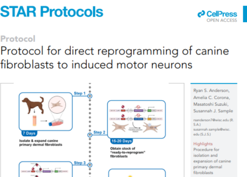 STAR Protocols, 19 September 2025