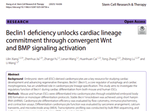 Stem Cell Research & Therapy, 13 November 2025