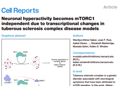 Cell Reports, 23 December 2025