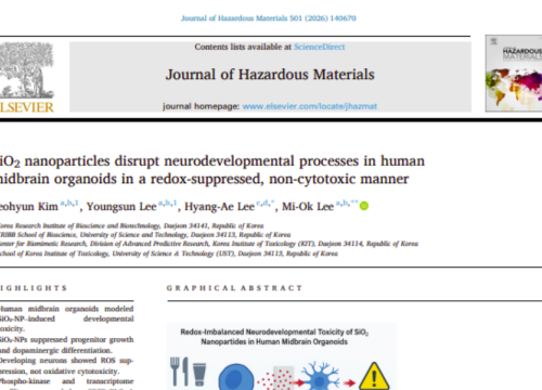 Journal of Hazardous Materials, 1 December 2025